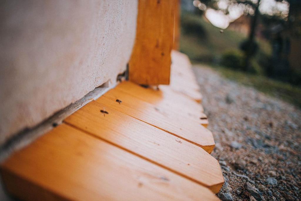Apartamento Sleeping With Bees - Tourist Farm Muha Grosuplje Exterior foto