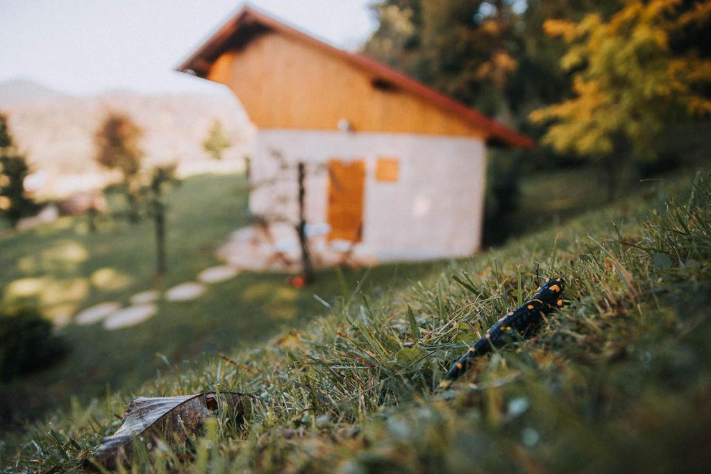 Apartamento Sleeping With Bees - Tourist Farm Muha Grosuplje Exterior foto